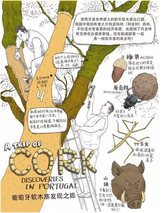 QQ图片20170519095223.png