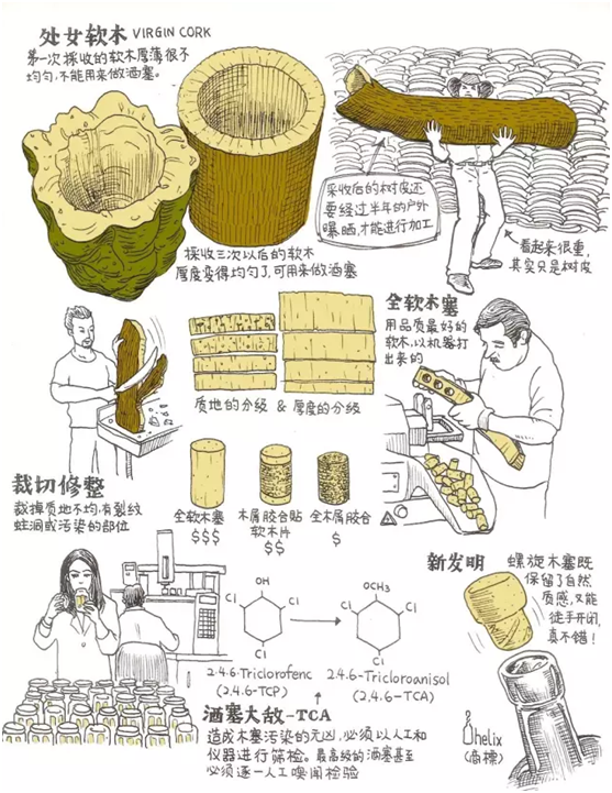 QQ图片20170519095259.png